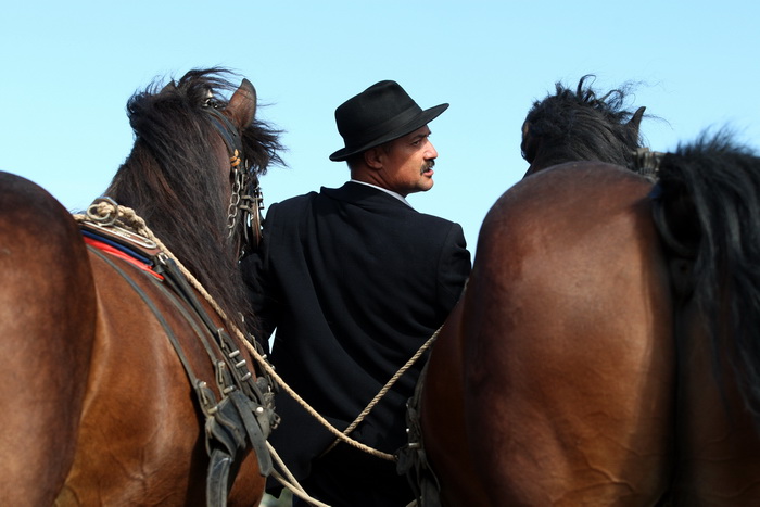 Jankolovica, Biograd, 150912. 
U Jankolovici kraj Biograda odrzan je drugi dan 59. Svjetskog prvenstva u oranju. Ovo natjecanje u oranju odrzava se od 1953. godine, a Hrvatska se ukljucila 2005. godine.
Na fotografiji: detalj s manifestacije. 
Foto: Jure