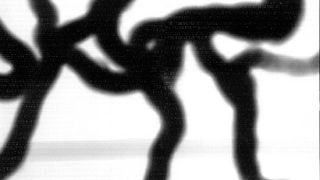 Braća Brkan: Slike sna i svjetlosti Braća Brkan: Slike sna i svjetlosti