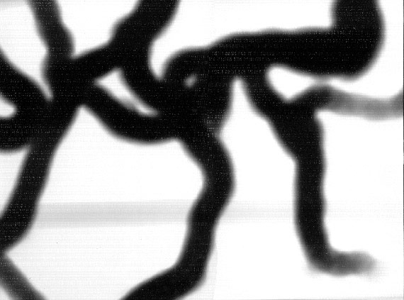 Braća Brkan: Slike sna i svjetlosti Braća Brkan: Slike sna i svjetlosti