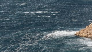 Image 1177837 (auto)