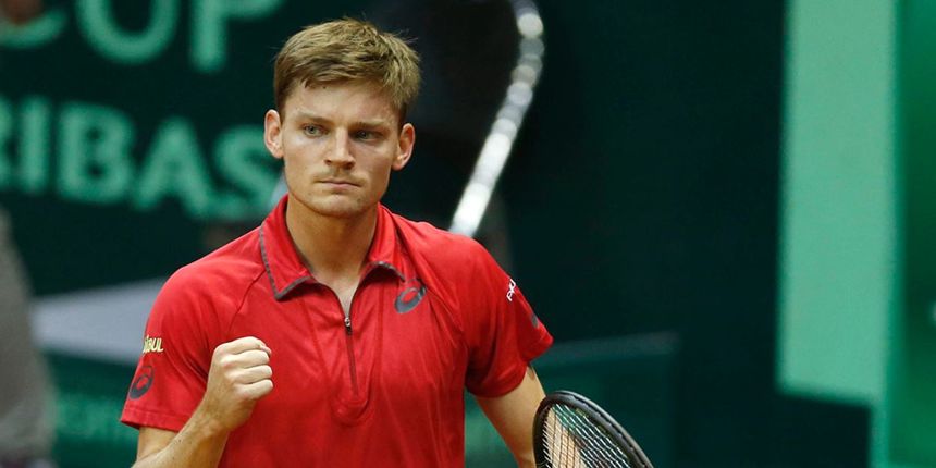 David Goffin, Belgijska Davis Cup reprezentacija