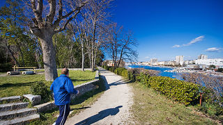 Đir zadarskim parkovima,27. veljače 2012. (foto:Saša Čuka)