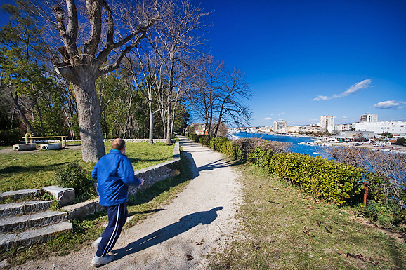 Đir zadarskim parkovima,27. veljače 2012. (foto:Saša Čuka)