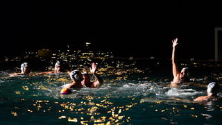 VAK”AN”ZA 31%, finale: Reptili – Nesvrstani 2-4 VAK”AN”ZA 31%, finale: Reptili – Nesvrstani 2-4