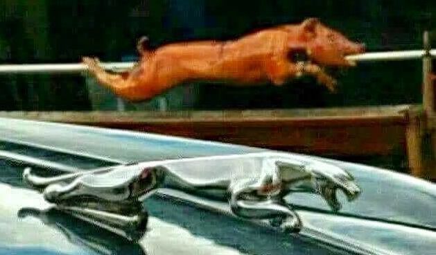 Što je ovdje original a što plagijat?