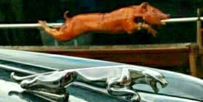 Što je ovdje original a što plagijat? Što je ovdje original a što plagijat?