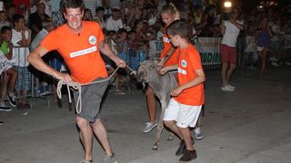 10. međunarodna trka tovarov Tisno 2015