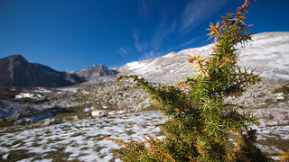 Đir do Libinja 9. travnja 2012. (foto:Saša Čuka) Đir do Libinja 9. travnja 2012. (foto:Saša Čuka)
