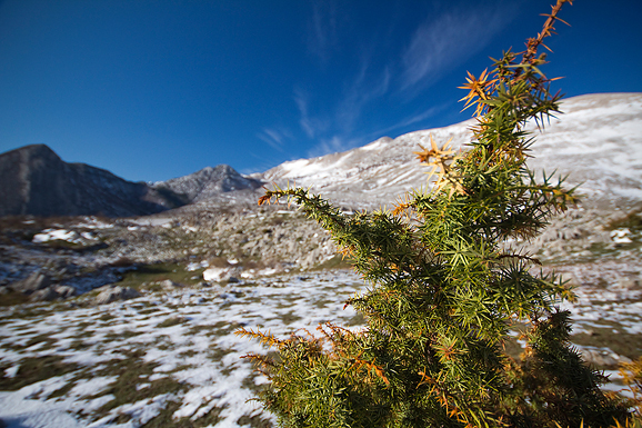 Đir do Libinja 9. travnja 2012. (foto:Saša Čuka) Đir do Libinja 9. travnja 2012. (foto:Saša Čuka)