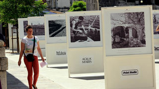 Izložba fotografija “Prijatelji mora” Izložba fotografija “Prijatelji mora”