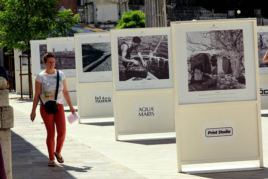 Izložba fotografija “Prijatelji mora” Izložba fotografija “Prijatelji mora”