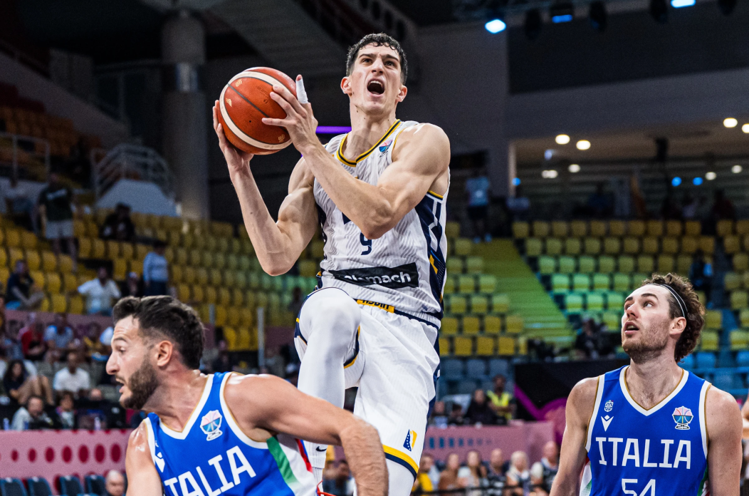 Amar Gegić, reprezentacija Bosne i Hercegovine