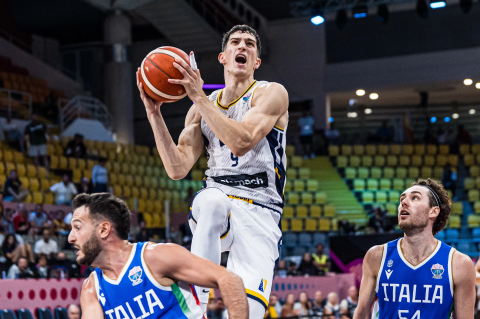 Amar Gegić, reprezentacija Bosne i Hercegovine