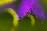 Fibra festival @ Split Fibra festival @ Split