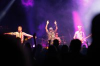 Jura Stublić i Film, Goran Bare i Majke, Vojko V @ Fibra festival