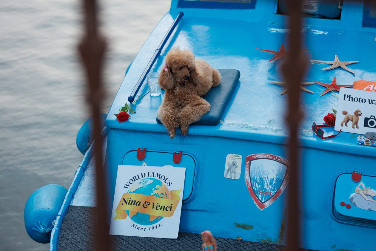 Đir po gradu, 17. rujna 2025.