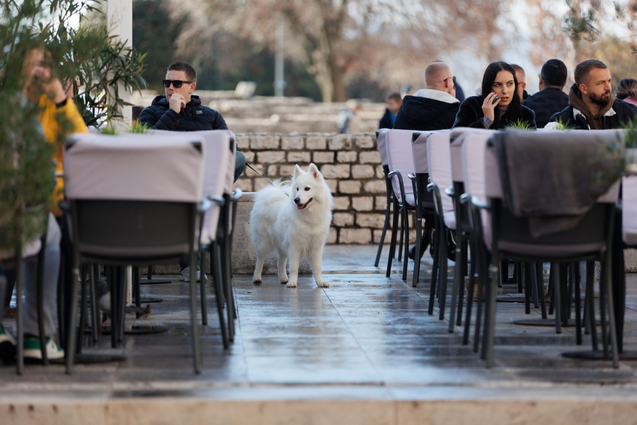 Đir po gradu, subotnja špica, 20. prosinca 2025.