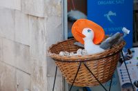 Đir po gradu, 2. listopada 2025.