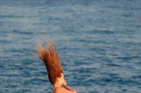 Večernji đir po gradu, 6. kolovoza 2025. Večernji đir po gradu, 6. kolovoza 2025.