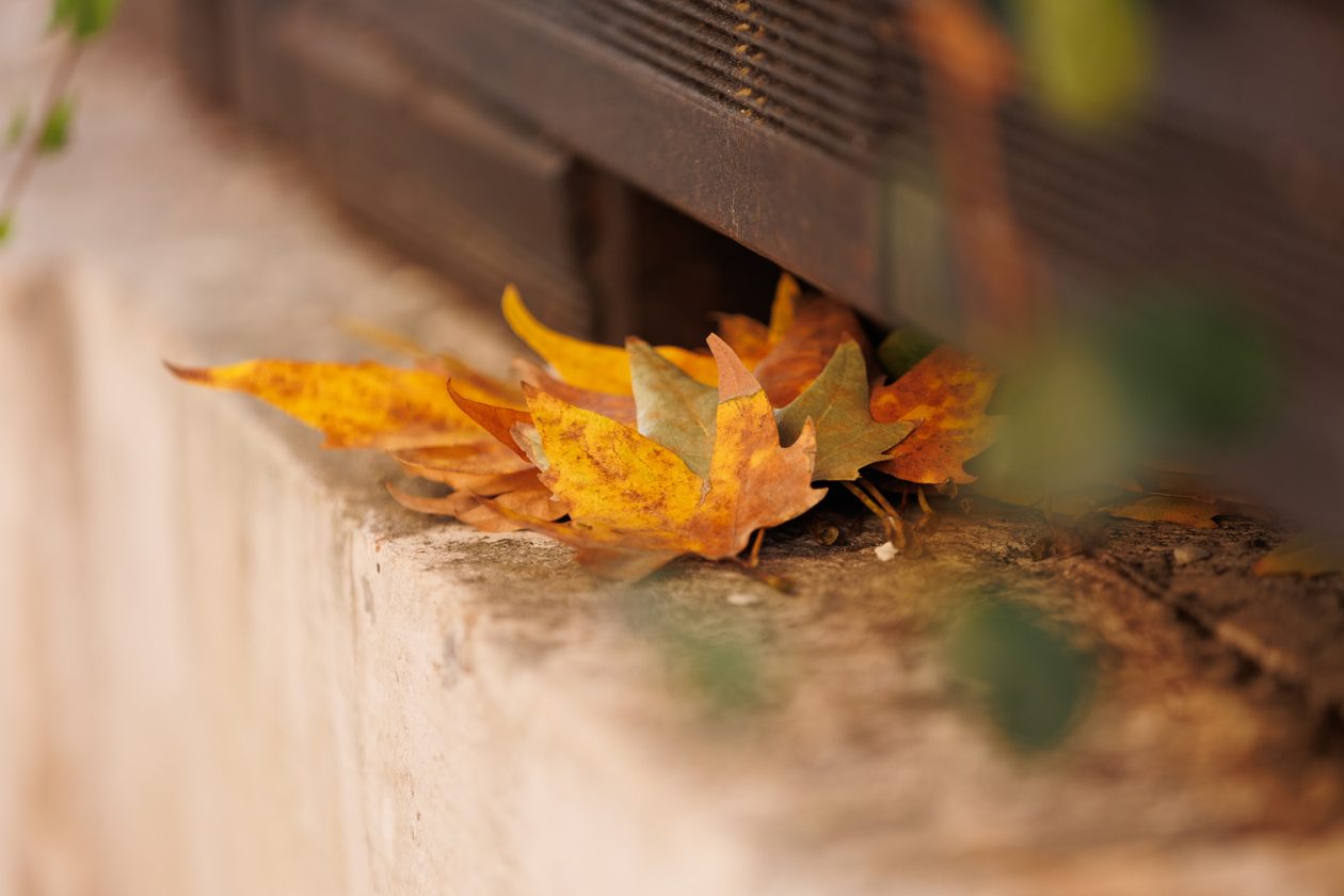 Đir po gradu, subotnja špica, 11. listopada 2025. Đir po gradu, subotnja špica, 11. listopada 2025.