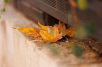 Đir po gradu, subotnja špica, 11. listopada 2025. Đir po gradu, subotnja špica, 11. listopada 2025.