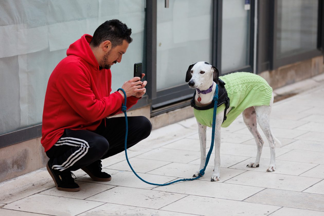 Đir po gradu, špica 28. 3. 2026.