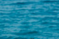 Đir po gradu, subotnja špica, 9. kolovoza 2025.