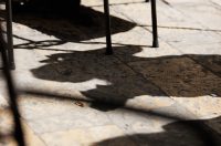 Đir po gradu, 18. kolovoza 2025.