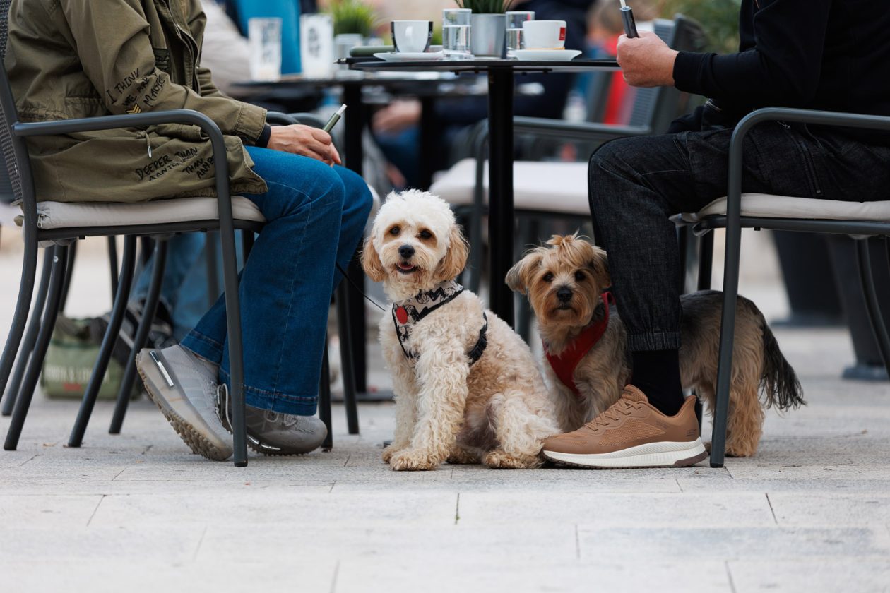 Đir po gradu, subotnja špica, 25. listopada 2025. Đir po gradu, subotnja špica, 25. listopada 2025.