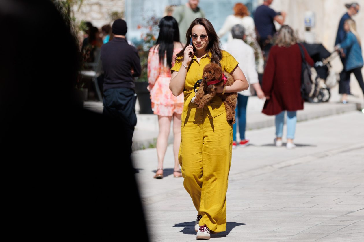 BB1_8782