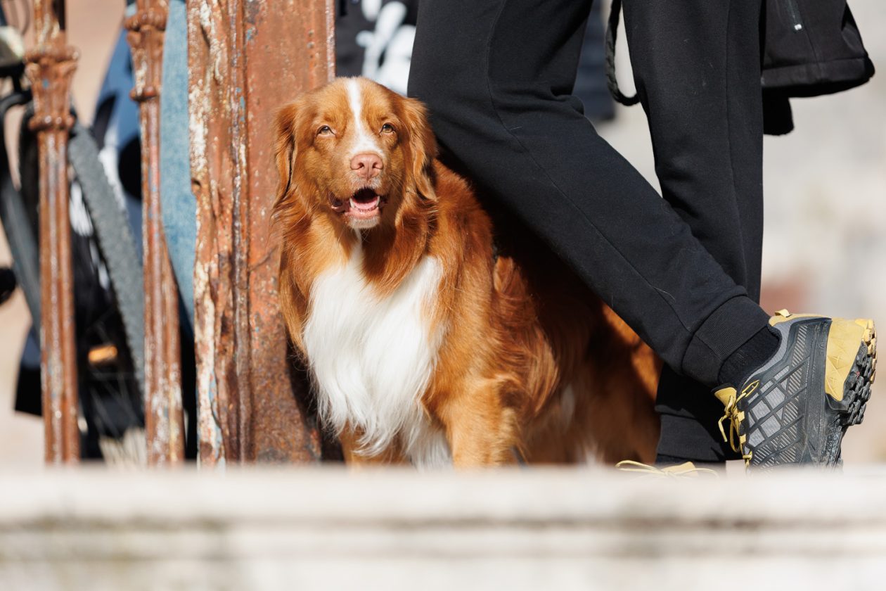 Idra u Foši – posveta pomorskoj prošlosti