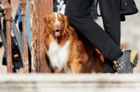 Idra u Foši – posveta pomorskoj prošlosti