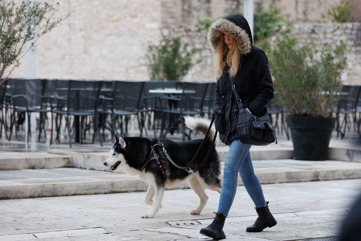 Đir po gradu, subotnja špica 22. studenog 2025.