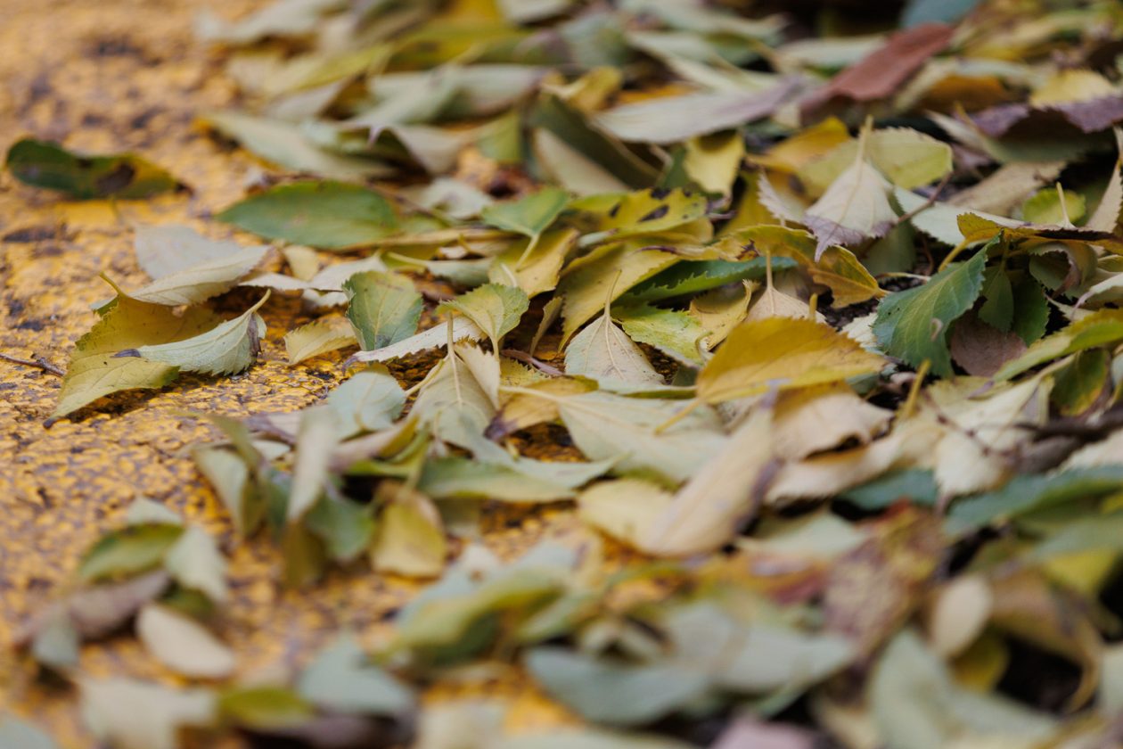 Đir po gradu, subotnja špica 22. studenog 2025.