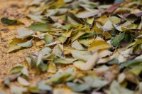 Đir po gradu, subotnja špica 22. studenog 2025.