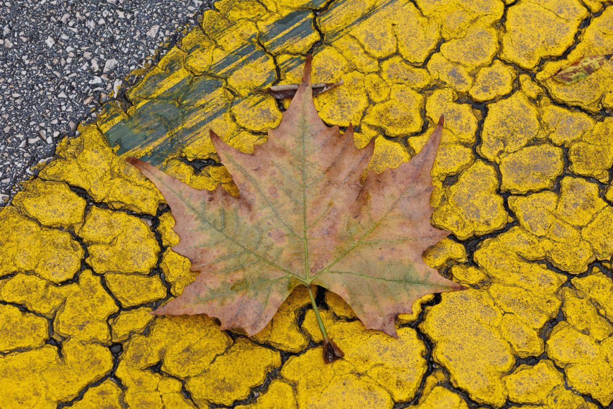 Đir po gradu, subotnja špica 22. studenog 2025.