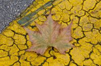 Đir po gradu, subotnja špica 22. studenog 2025.