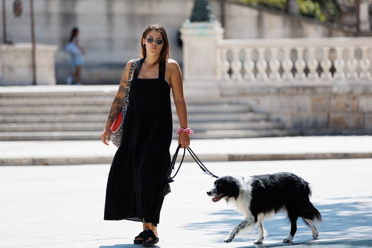 Đir po gradu, 25. kolovoza 2025.