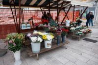 Đir po gradu, subotnja špica, 25. listopada 2025. Đir po gradu, subotnja špica, 25. listopada 2025.