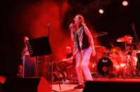 Jura Stublić i Film, Goran Bare i Majke, Vojko V @ Fibra festival