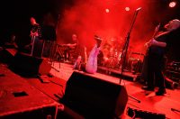 Jura Stublić i Film, Goran Bare i Majke, Vojko V @ Fibra festival