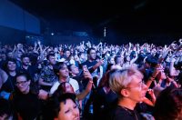 Jura Stublić i Film, Goran Bare i Majke, Vojko V @ Fibra festival