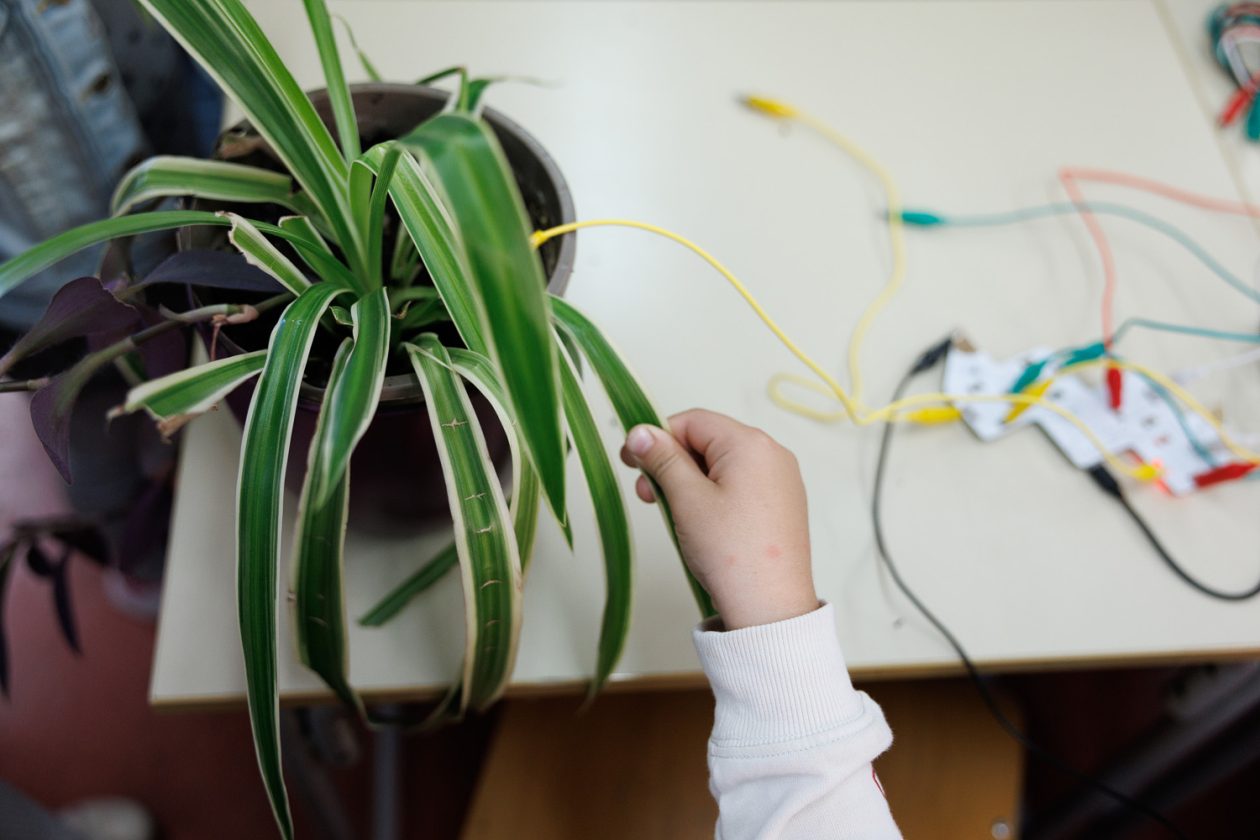 Strukovna Škola Vice Vlatkovića, Dan otvorenih vrata