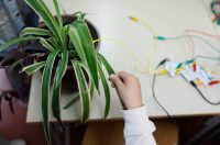 Strukovna Škola Vice Vlatkovića, Dan otvorenih vrata