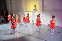 Baletna udruga Pirueta predstavila je premijerno Gala večer 15. godisnjicu dijelovanja na Zadarskoj plesnoj sceni (12)
