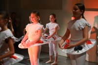 Baletna udruga Pirueta predstavila je premijerno Gala večer 15. godisnjicu dijelovanja na Zadarskoj plesnoj sceni (31)