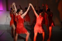 Baletna udruga Pirueta predstavila je premijerno Gala večer 15. godisnjicu dijelovanja na Zadarskoj plesnoj sceni (43)