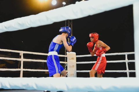 Boksački savez Zadarske županije