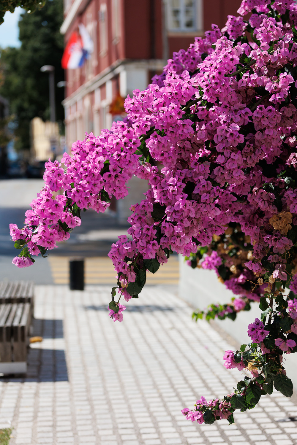 Đir po gradu, 22. rujna 2025 (47)