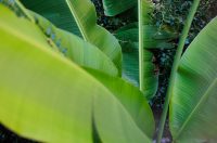 Đir po gradu, 22. rujna 2025 (48)